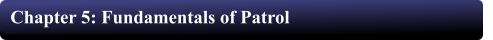 Chapter 5: Fundamentals of Patrol