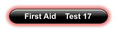 First Aid    Test 17